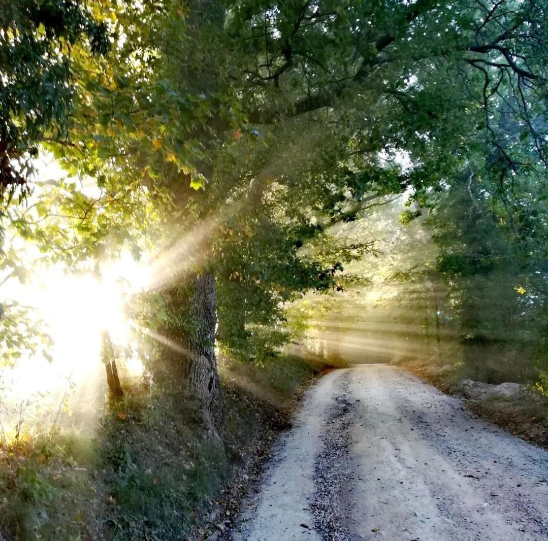 La Quercia Incantata กาเมริโน ภายนอก รูปภาพ
